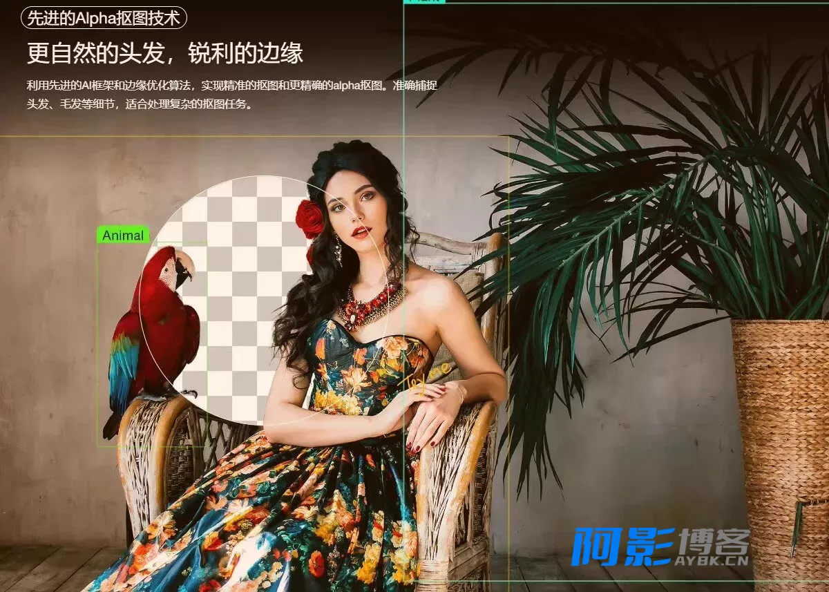 智能抠图 Matting2.6：快速高效一键抠图工具，适用于PS修图与影楼设计