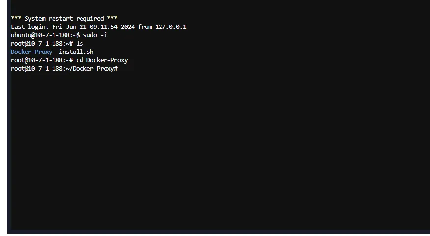 使用Docker-Proxy项目自建Docker镜像加速服务,支持脚本一键部署,分类:🧮综合教程,发布时间:2024-06-27 image.png