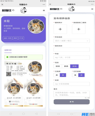 流浪猫流浪狗领养系统源码 宠物领养源码,分类:📋整站源码,发布时间:2025-01-11 image.png