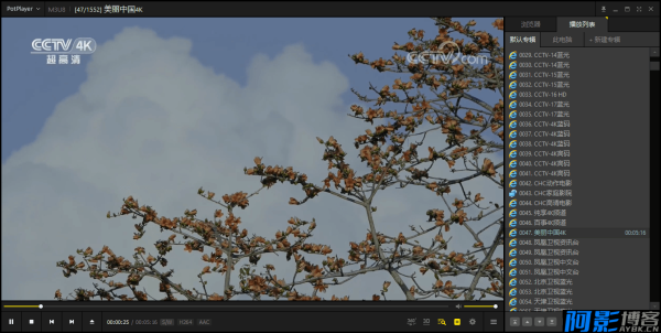PotPlayer v1.7.22541绿色版，分类：🎞️影音播放，标签：PotPlayer v1.7.22541绿色版