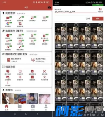 44171763120789.webp
