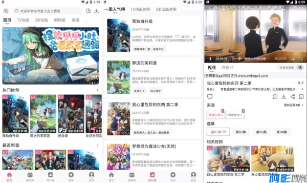 84c81763277034.webp