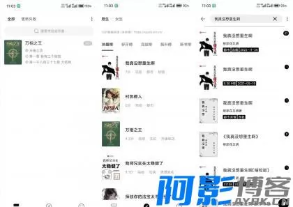 dafd1766208699.webp