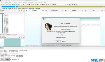 IDA Pro 9.3全平台破解版与注册脚本详解,分类:🔖实用软件,发布时间:2026-01-05 33581767536361.webp