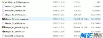 IDA Pro 9.3全平台破解版与注册脚本详解,分类:🔖实用软件,发布时间:2026-01-05 5e0e1767536354.webp