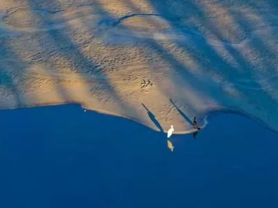《鹭鹚觅食记:浅滩小鱼的惊魂时刻》,分类:🎊精选壁纸,发布时间:2026-01-09 《鹭鹚觅食记:浅滩小鱼的惊魂时刻》,分类:🎊精选壁纸,标签:自然景观, 鹭鹚, 浅滩, 小鱼, 生态观察