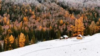 冬季仙境:喀纳斯的治愈系雪景,分类:大美新疆,发布时间:2026-01-09 冬季仙境:喀纳斯的治愈系雪景,分类:大美新疆,标签:冬季旅游, 治愈系, 喀纳斯, 雪景, 自然风光